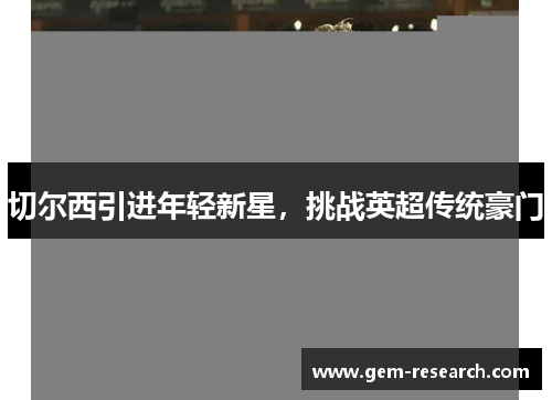 切尔西引进年轻新星，挑战英超传统豪门